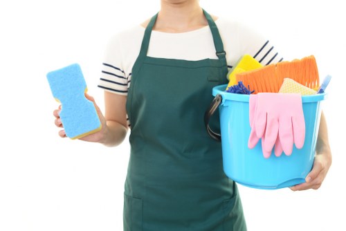 Inclusive Chinatown carpet cleaning website accessibility concept