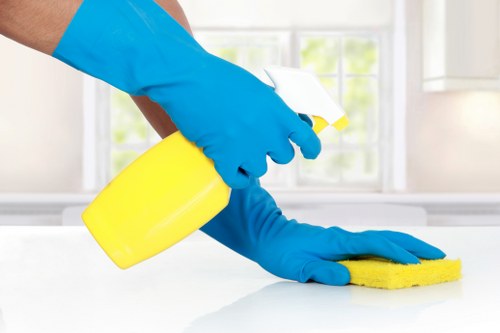 Professional steam carpet cleaning in a Chinatown home