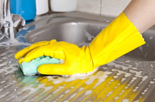 DIY pet stain cleaning products for Chinatown households