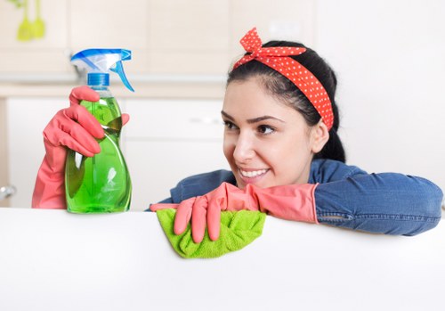 Professional carpet cleaning service during an appointment