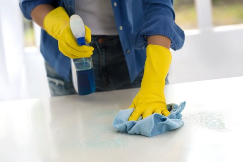 Team member using protective equipment during upholstery and carpet cleaning