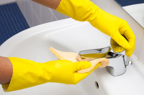 Detailed carpet cleaning process focused on fiber care and stain removal