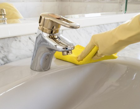 Deep cleaning equipment used for pet stain odour removal